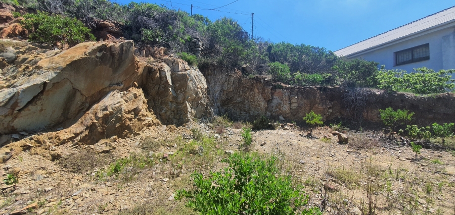 0 Bedroom Property for Sale in De Bakke Western Cape